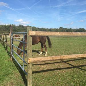 PADDOCKS ECURIE FRIANT